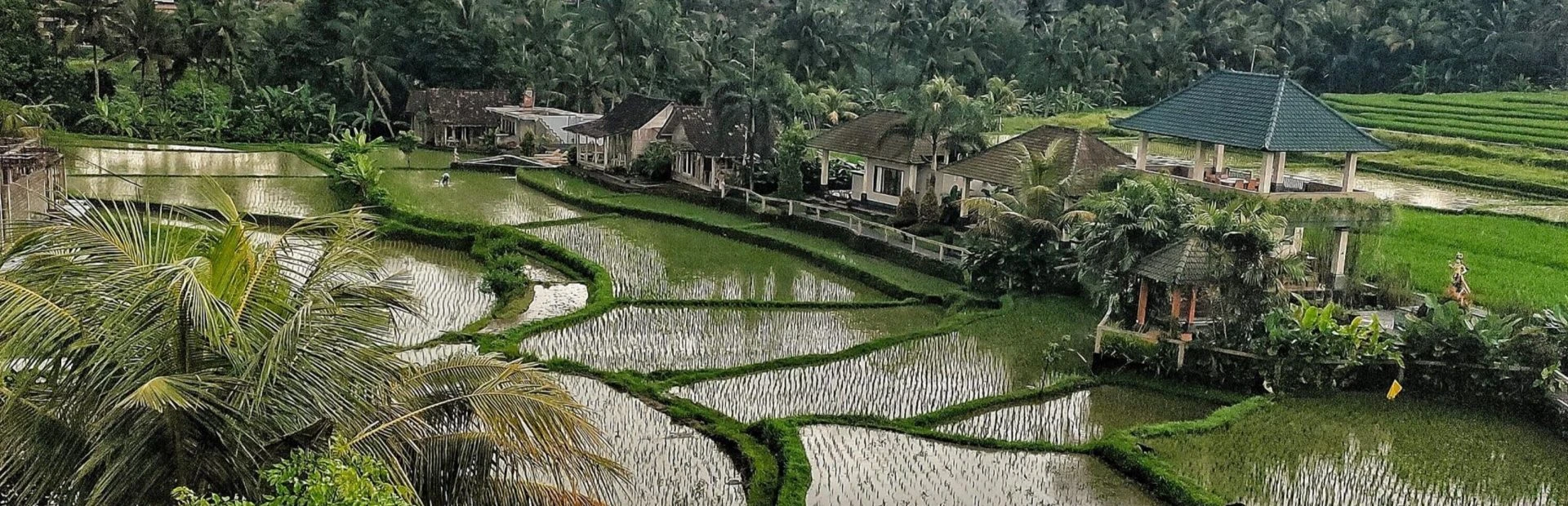 BALI 50H SELF ENQUIRY - horizontal 169