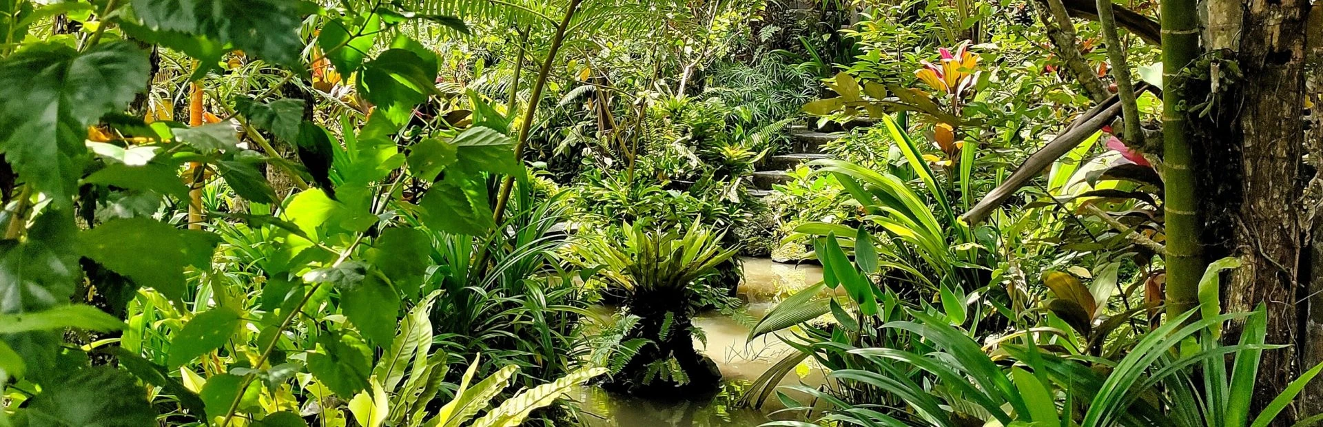 BALI 200H Hybrid - horizontal stop wide