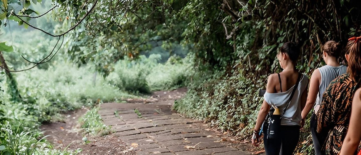 200h bali course - who is this training for