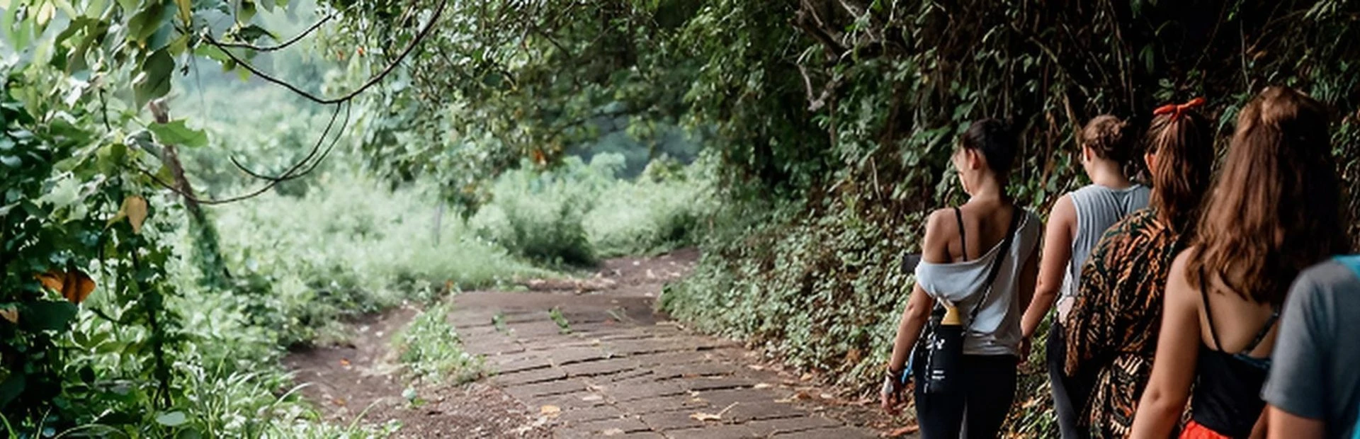 200h bali course - who is this training for