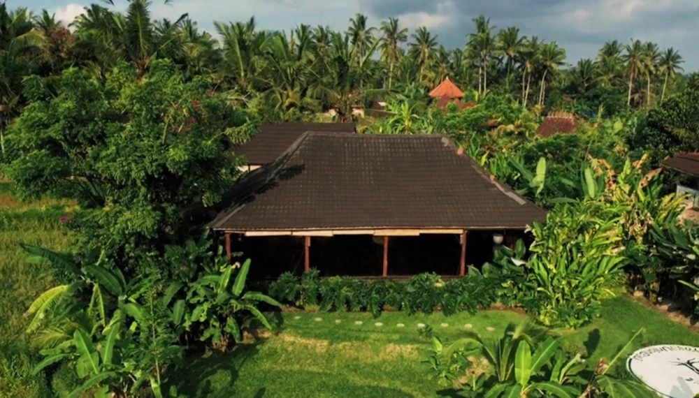 BALI 50H YIN - horizontal 43