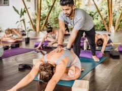 BALI 50H ART OF ADJUSTMENTS - HORIZONTAL 43