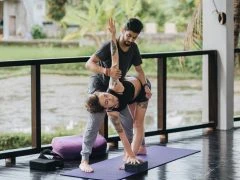 BALI 50H ART OF ADJUSTMENTS - HORIZONTAL 43