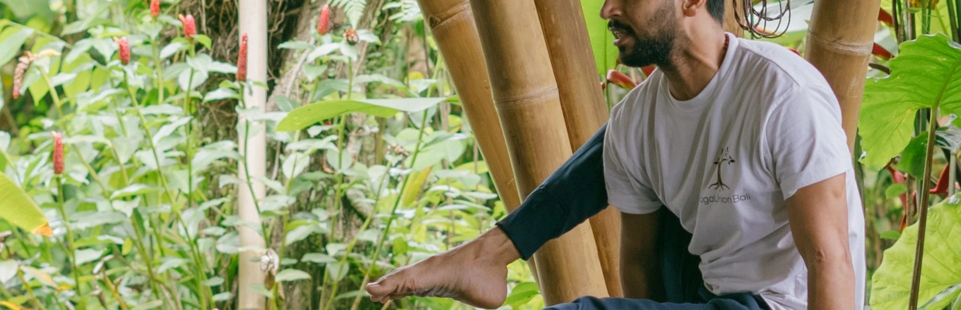 BALI 200H HYBRID YTTC