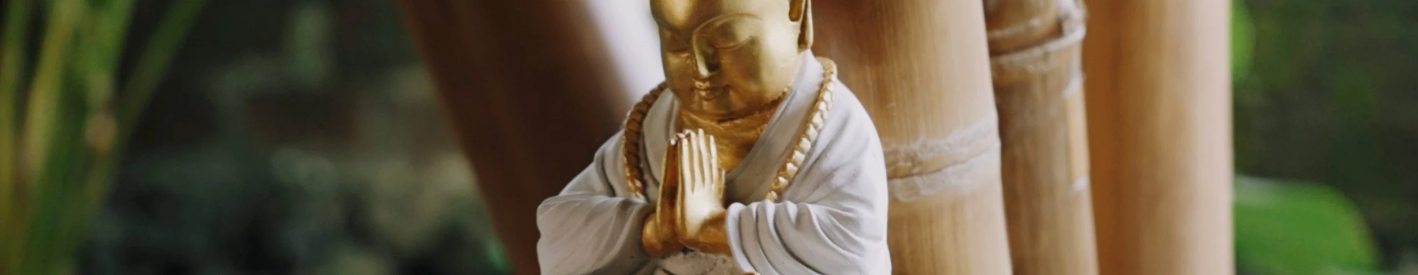 BALI 50H ASHTANGA- horizontal 169