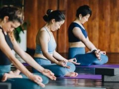 BALI 50H ASHTANGA- horizontal 43