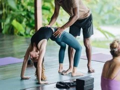 BALI 50H ASHTANGA- horizontal 43