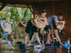 BALI 50H ASHTANGA- horizontal 43