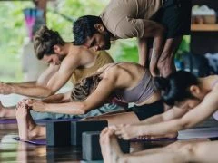 BALI 50H ASHTANGA- horizontal 43