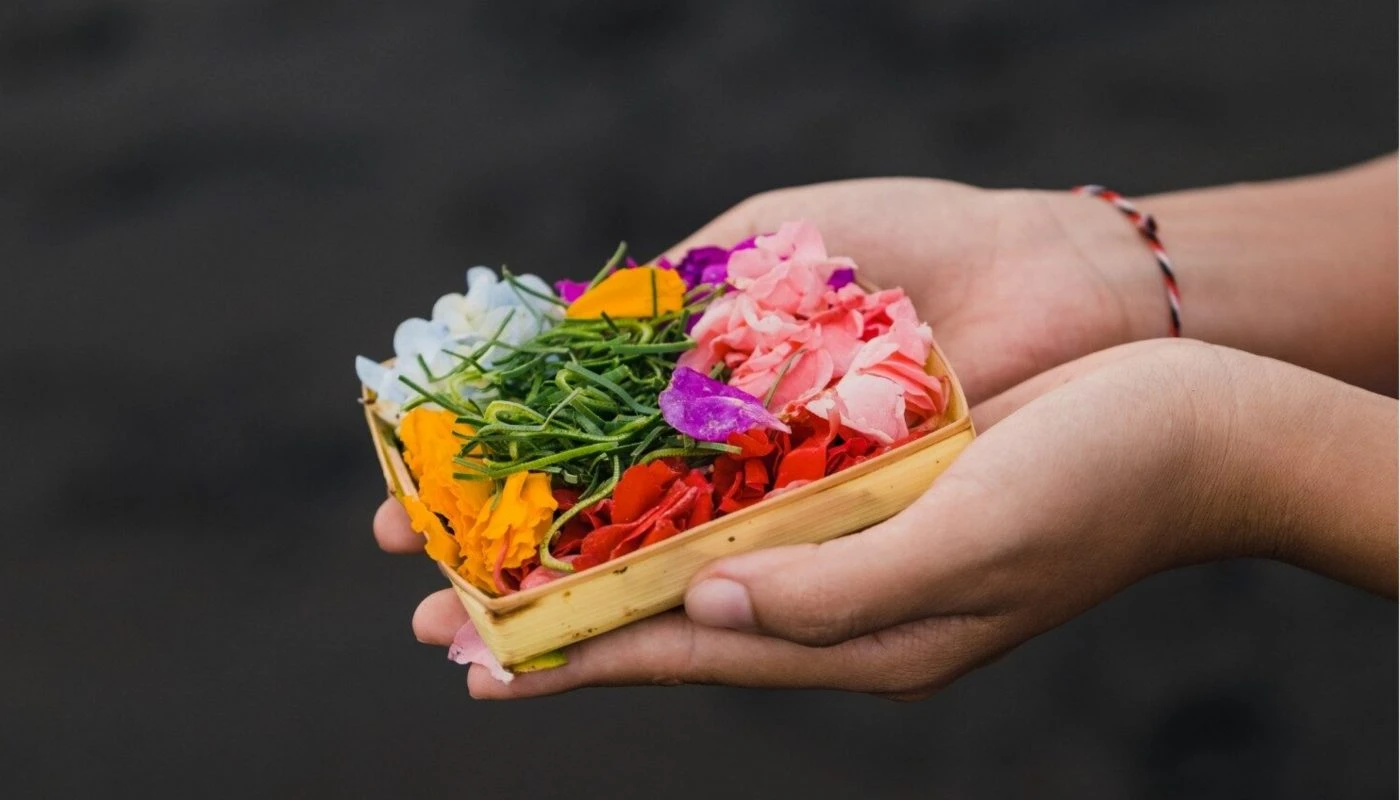 BALI 50H PHILOSOPHY - HORIZONTAL 43