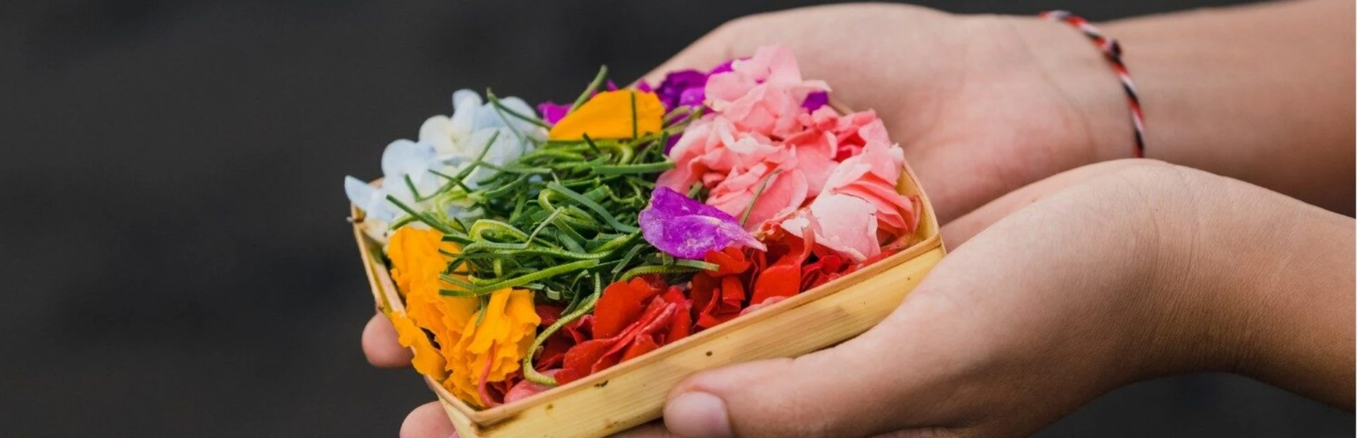 BALI 50H PHILOSOPHY YTTC