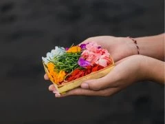 BALI 50H PHILOSOPHY - HORIZONTAL 43