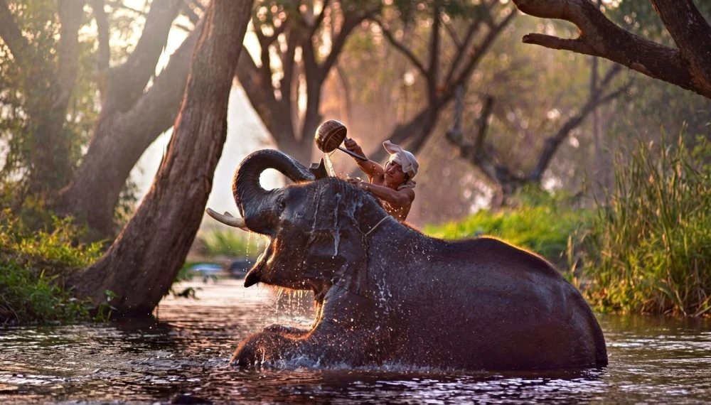 INDIA-RETREAT PHILOSOPHY-50H